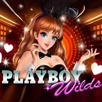 Login No Casinomia Online